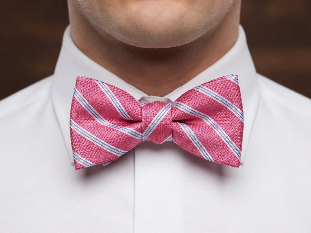 NWT Daniel Cremieux pink blue white striped silk bow tie